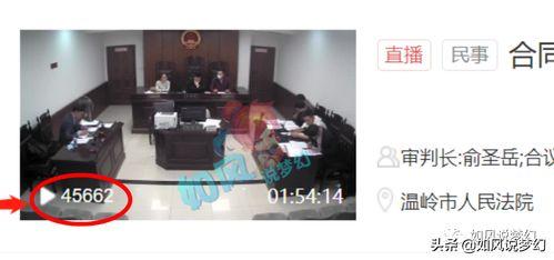 吃瓜开庭直播视频,吃瓜群众围观法律盛宴