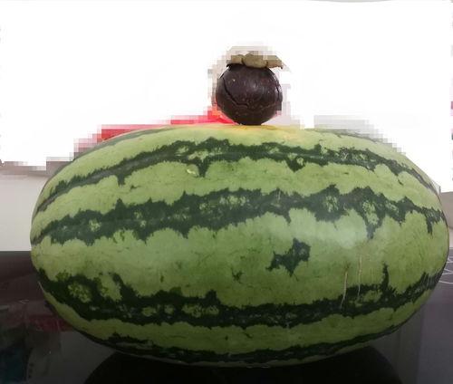 大家围着吃瓜的视频,一场别开生面的吃瓜盛宴