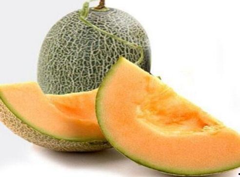 小猫吃瓜蜜瓜会死吗视频